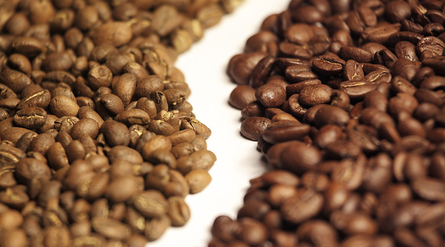 Forskellen på arabicakaffe og robustakaffe.